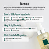 Hair & Scalp Enhancing Foam – Volumizing & Strengthening Treatment for Thicker, Healthier Hair | Lightweight Formula for Scalp & Hair Care (3.4 oz)
